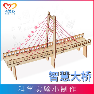斜拉桥物理科技小制作小发明diy材料小学生手工幼儿园科学小实验|ms