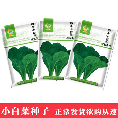 蔬菜種子 農家美味小白菜種子50克 四季農家蔬菜種子菜種籽批發