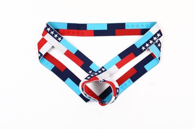 GAY欧美性感低腰男士内裤 冰丝JJ提臀提环丁字裤 镂空双丁裤E067