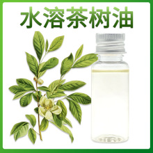 ˮܲ Tea tree oil 侫 ֲȡ owyƷջԭ