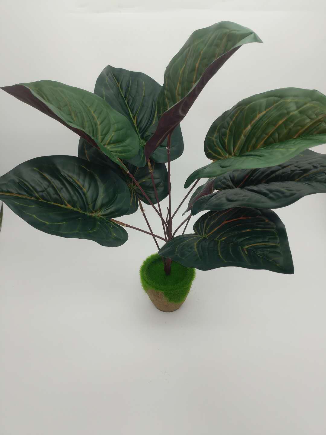 WeChat 圖片_20200708103508