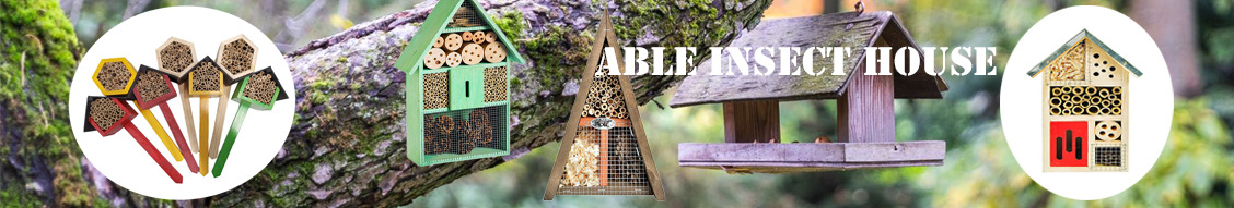 19557460183_907716740.jpg?__r__=1668048879965