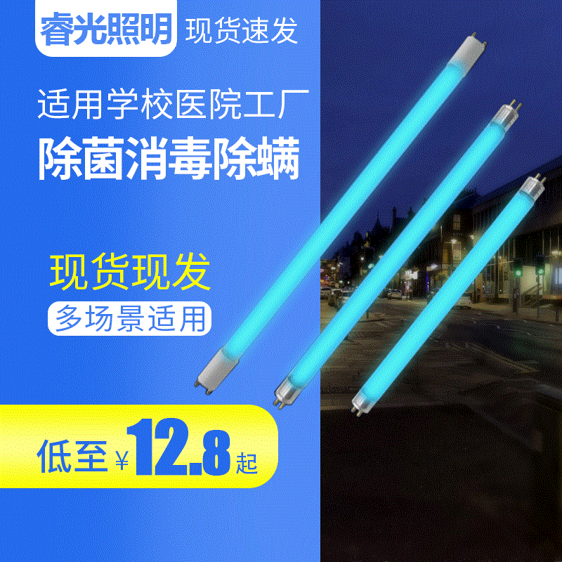 medical ozone UV Disinfection lamp household clinic kindergarten farm UV sterilization Mite removal lamp