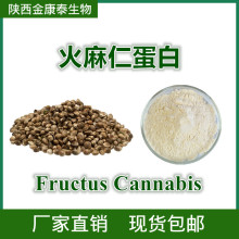 ȡ ʵ׷۵׺60%Fructus CannabisF؛]