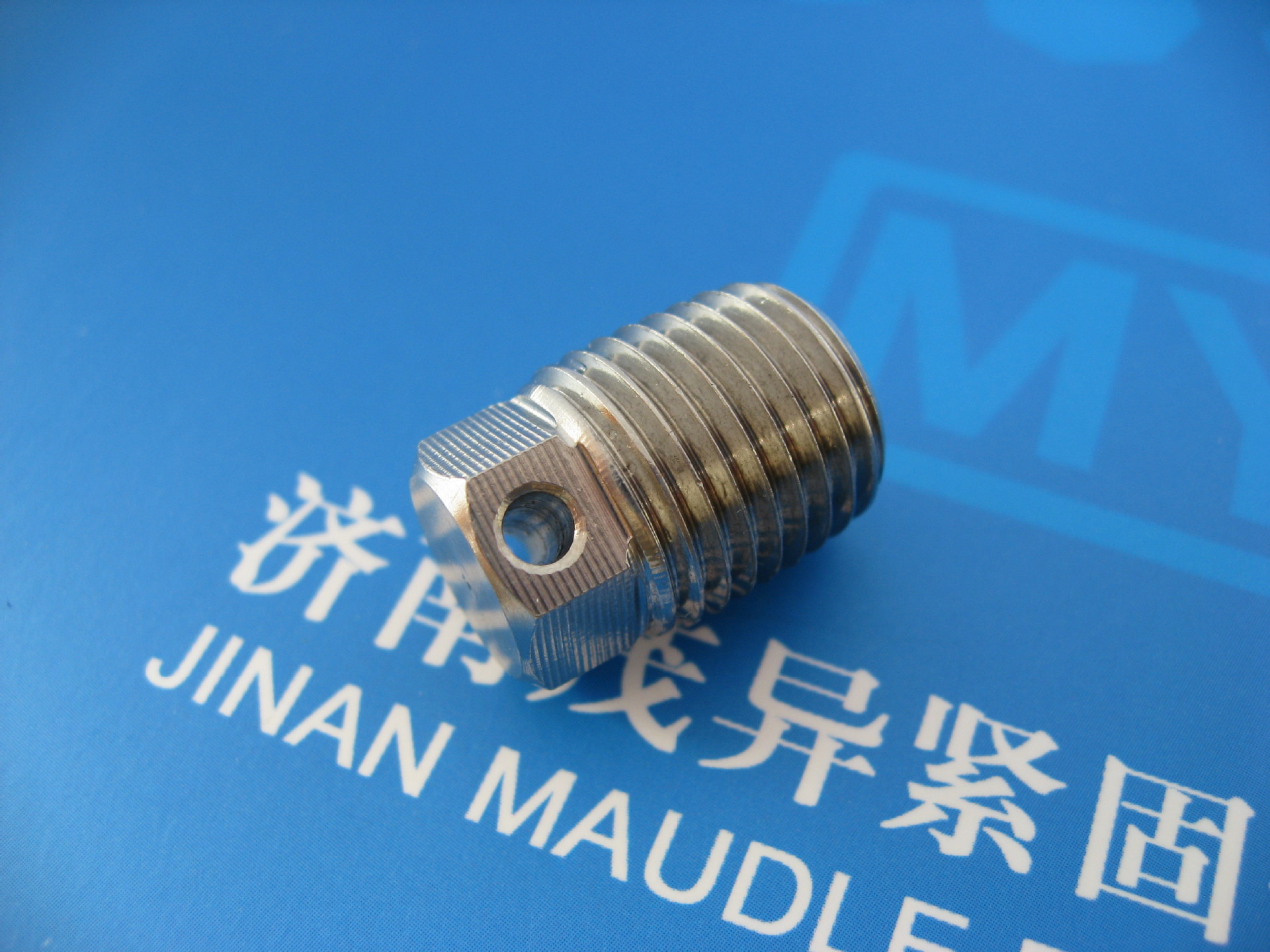 方头带孔螺塞 (6)