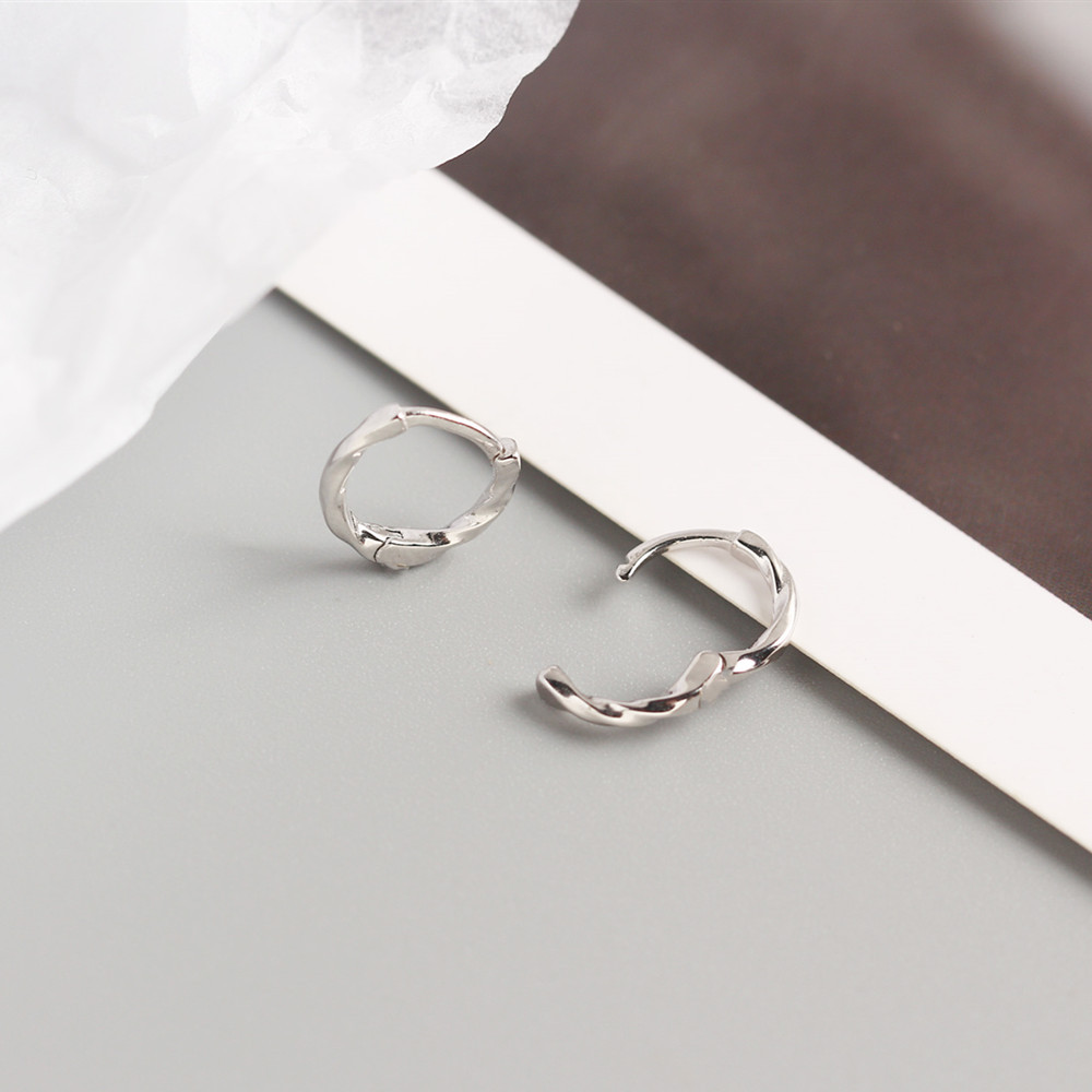 Geometric Casual Simple Style Classic Style 925 Sterling Silver No Inlaid Plating Earrings display picture 7