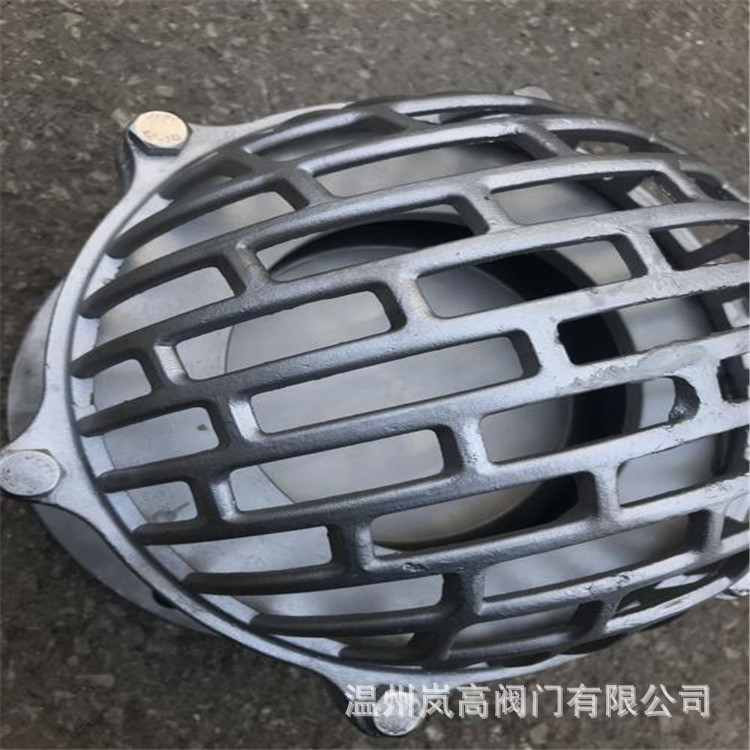 厂家直供 H42W-6P 不锈钢材质 水泵吸水逆止阀 法兰连接 DN50