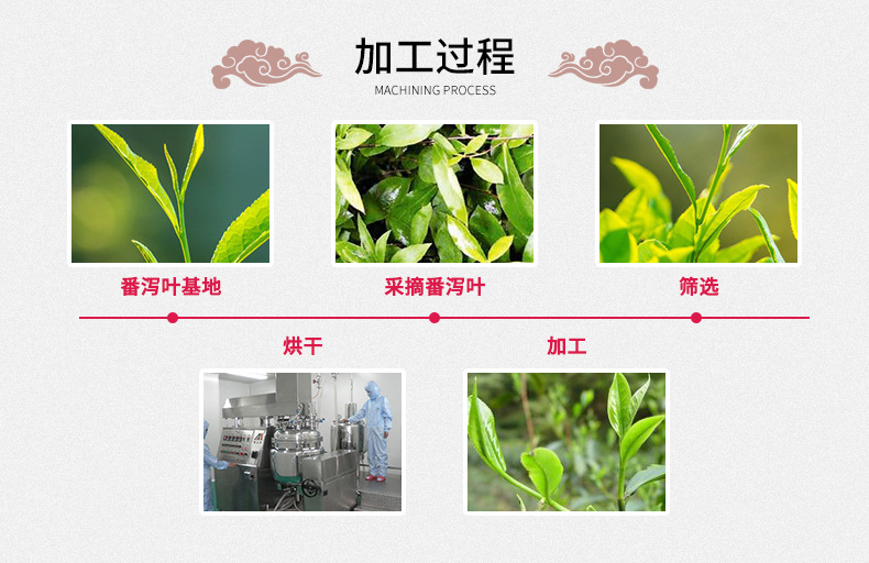 Senna Leaf Fan Xie Ye Dried Herbal Tea Leaves 500g Bulk Loose Botanicals details