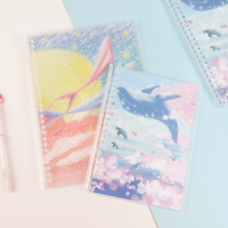 Stationery, suitcase, matte removable accessories, 5b, tear-off sheet