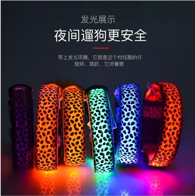 宠物项圈充电发光遛狗夜晚LED闪光狗带夜光警示防走丢狗狗猫咪用|ms