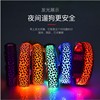 宠物项圈充电发光遛狗夜晚LED闪光狗带夜光警示防走丢狗狗猫咪用