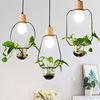 Plant lamp for living room, Scandinavian creative modern and minimalistic bar lights, ceiling lamp