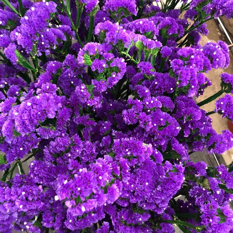 微信图片_20200221143138_副本