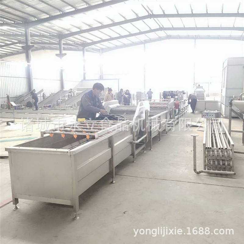 食品机械设备果蔬鼓泡清洗机 全自动洗菜机气泡高压喷淋洗菜机器