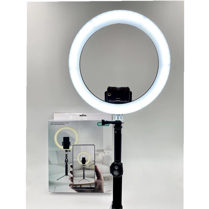 QQ图片20201201191847_副本