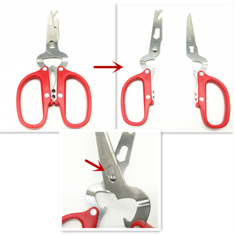 QQ图片20200326164549_副本2