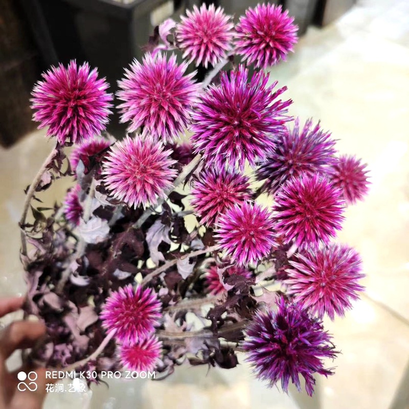 微信图片_20200717232132