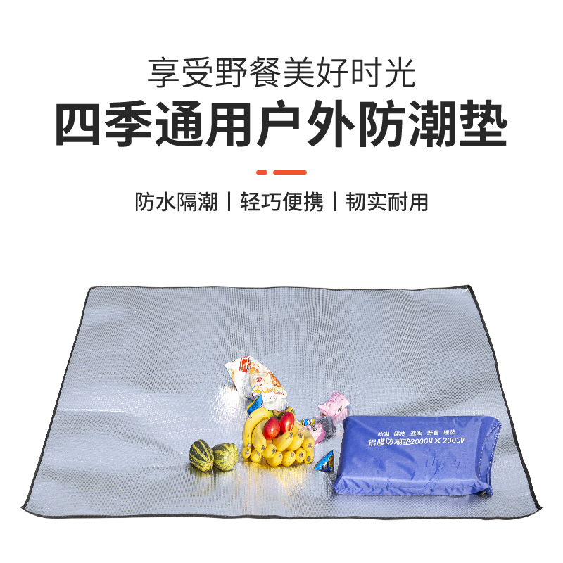 雙面鋁膜防潮墊 戶外便攜抗水野餐墊沙灘毯子 帳篷露營加厚爬行墊