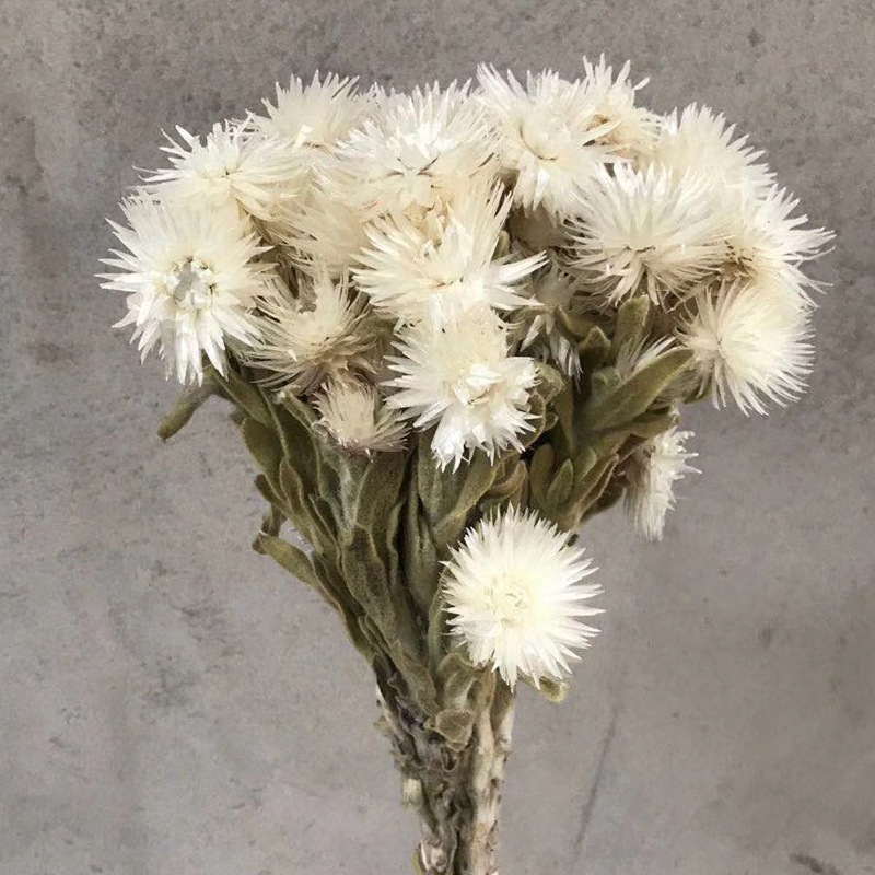 微信图片_20200410120044