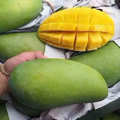 Mango Green Mango 10 fresh fruit Qingmang Should Sweetheart Jade Mountain Full container One piece On behalf of