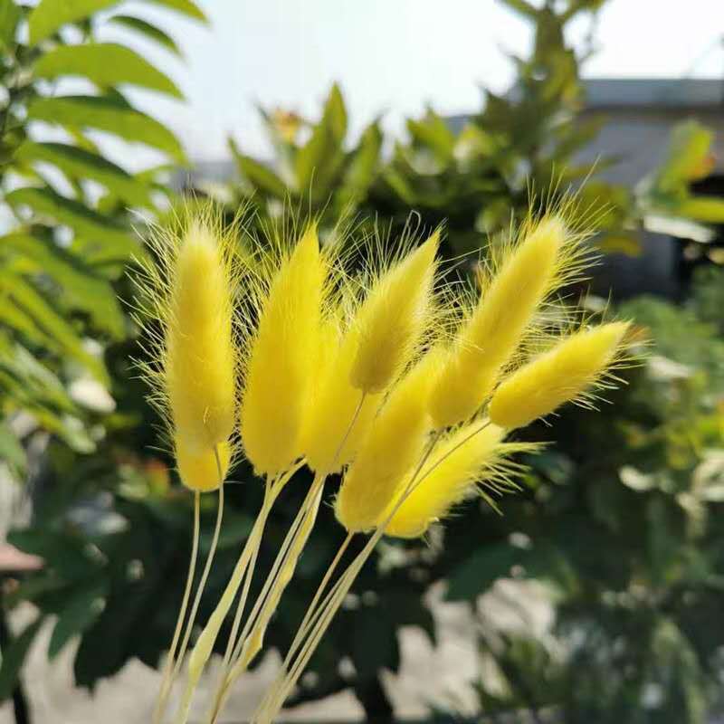 微信图片_20201005151854