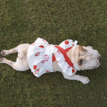 荷叶花边吊带裙法斗雪纳瑞泰迪中小型犬猫狗衣服巴哥草莓印花柳之