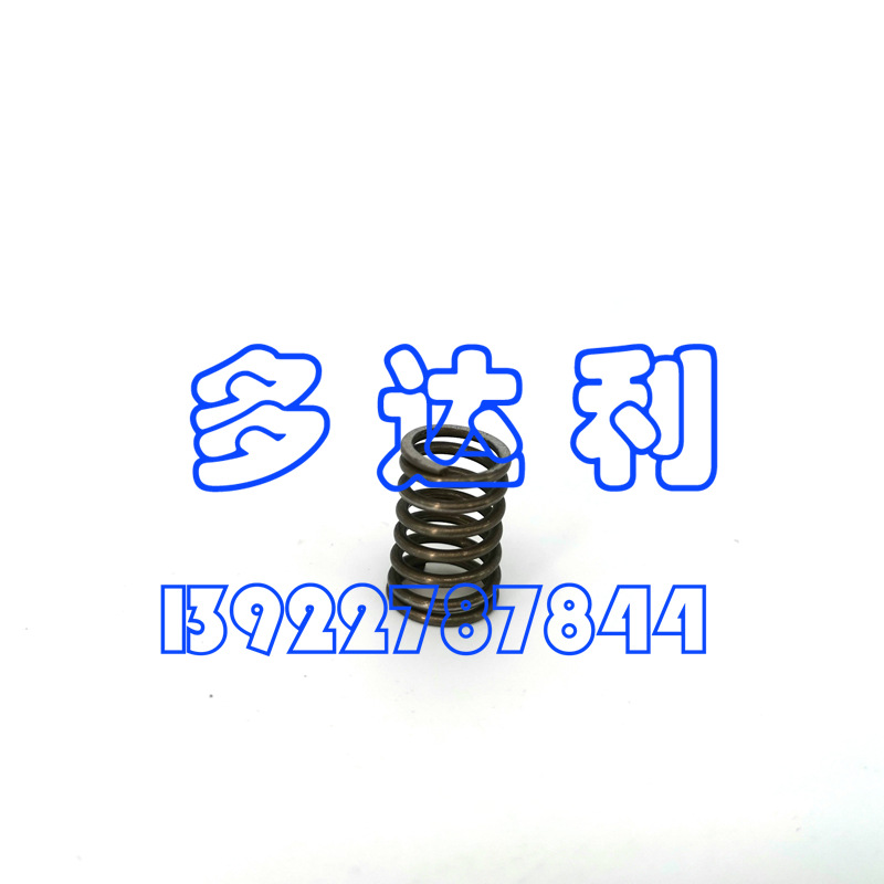  5H407322   5Hϵ  Carlyle SPRING