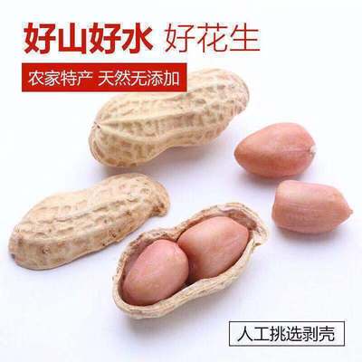 自我保养丝竹新韵水魔2020新花生米生手工精品小粒大粒新鲜真空1