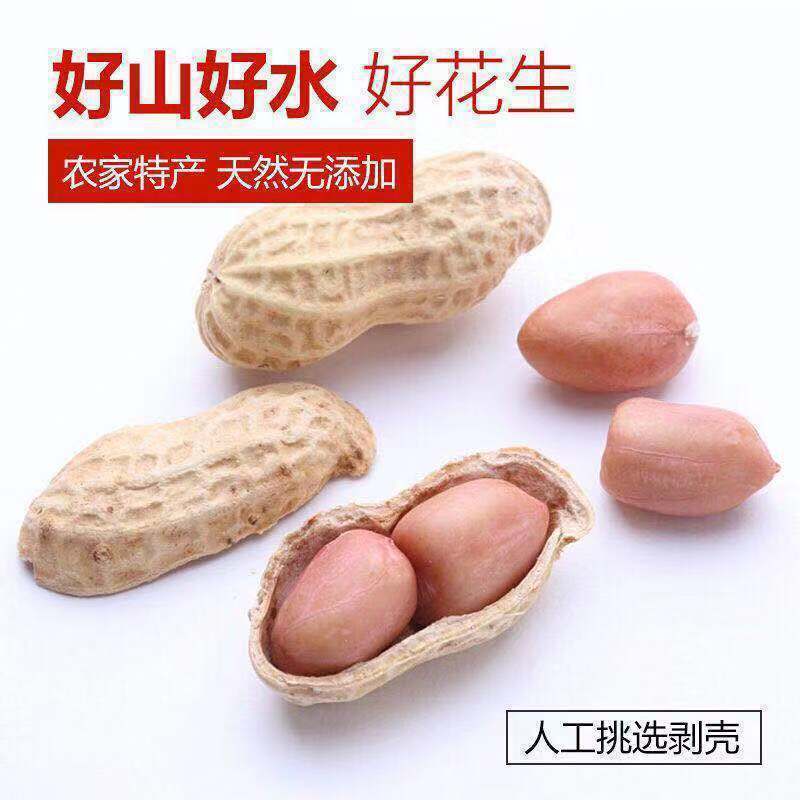 自我保养丝竹新韵水魔2020新花生米生手工精品小粒大粒新鲜真空1