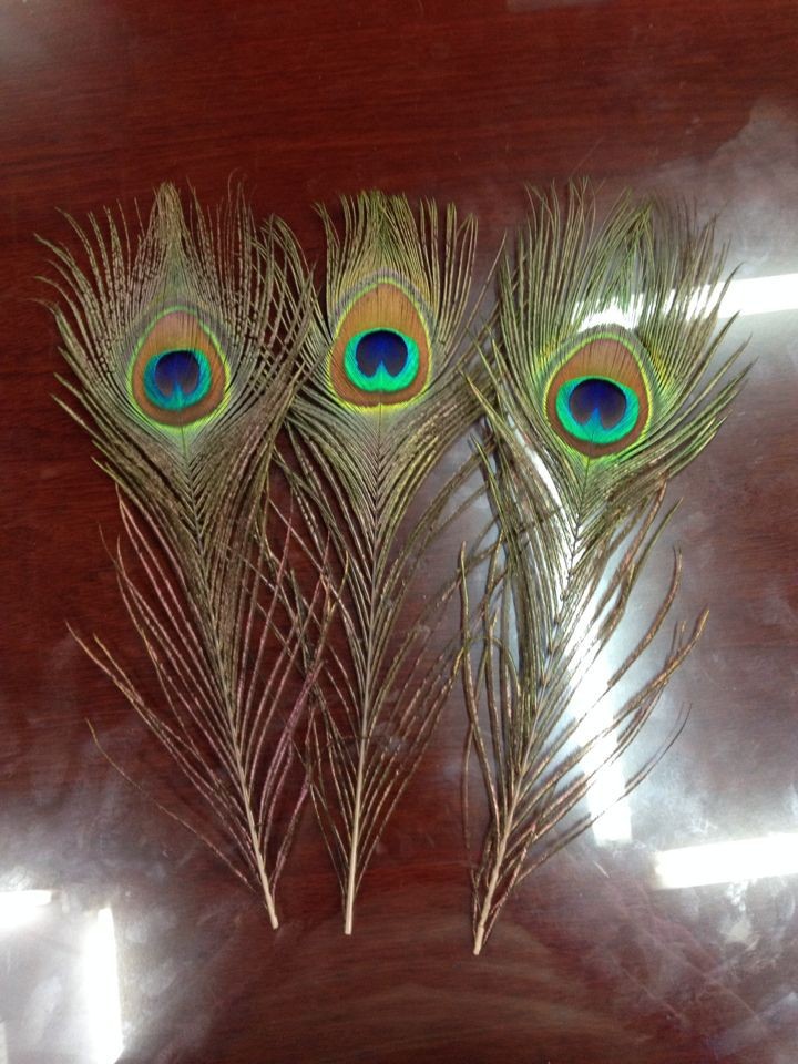 图片20140508160504