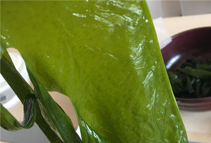 2fa34645-1580-4446-8c20-ab9813