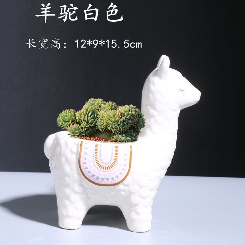 羊驼白色