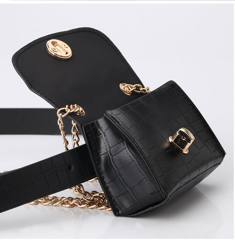 Fashion Leopard Belt Bag Mini Chain Bag  All-match Clothing Belt display picture 4