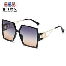 羳D̫R sunglassesu׃ƬUսīR110D1