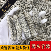 ���ݠ�����ӡ��ԭ�̅��״̅� �����״̅� ���ɺ��� ������؛