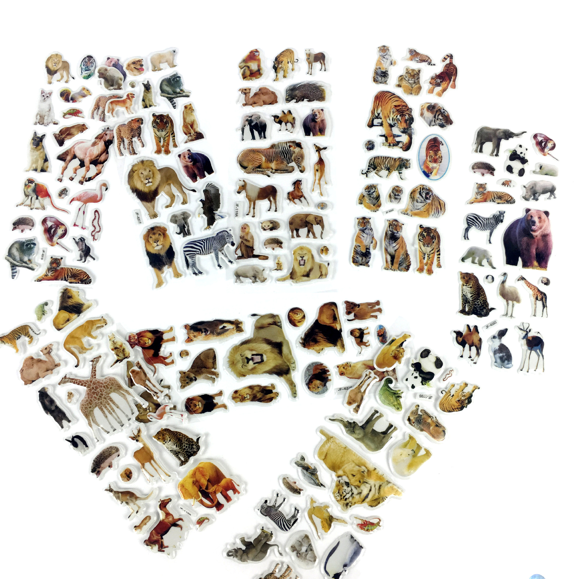 动物世界集合图1