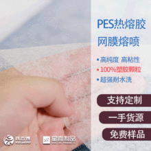 PES熱熔膠網膜熔噴 耐水洗熱熔雙面粘合襯網膜膠廠家