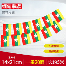 跨境货源8号14*21缅甸串旗万国旗吊旗世界各国外国串旗