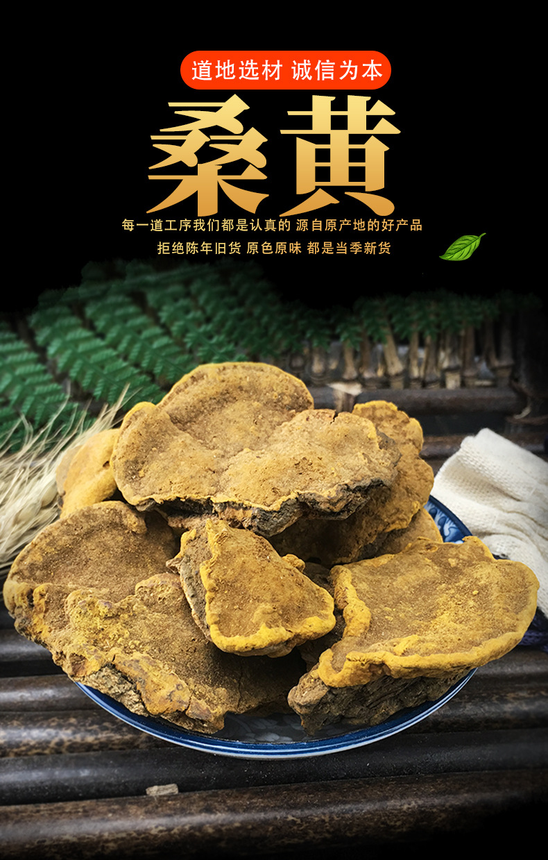Sang Huang Mulberry Yellow Fungus Loose Dried Phellinus for Traditional Herbal Decoction 500g key features