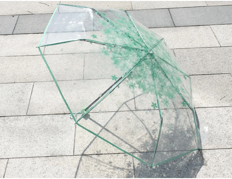 11012920722_2119238038