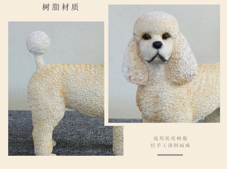 泰迪犬_10.jpg