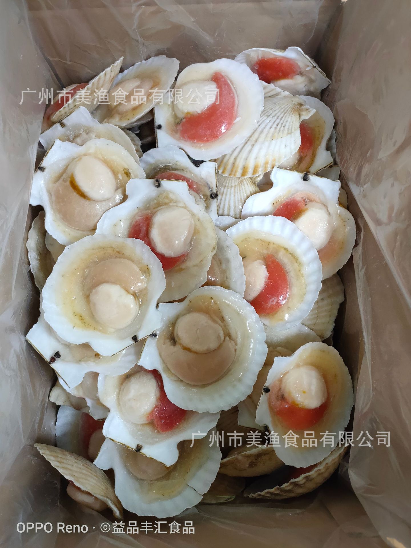 粉丝扇贝摄影图__西餐美食_餐饮美食_摄影图库_昵图网nipic.com