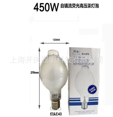 FSL Foshan Lighting/ GYZ Ballast fluorescence High pressure mercury bulb E40 Mercury bulb  450W