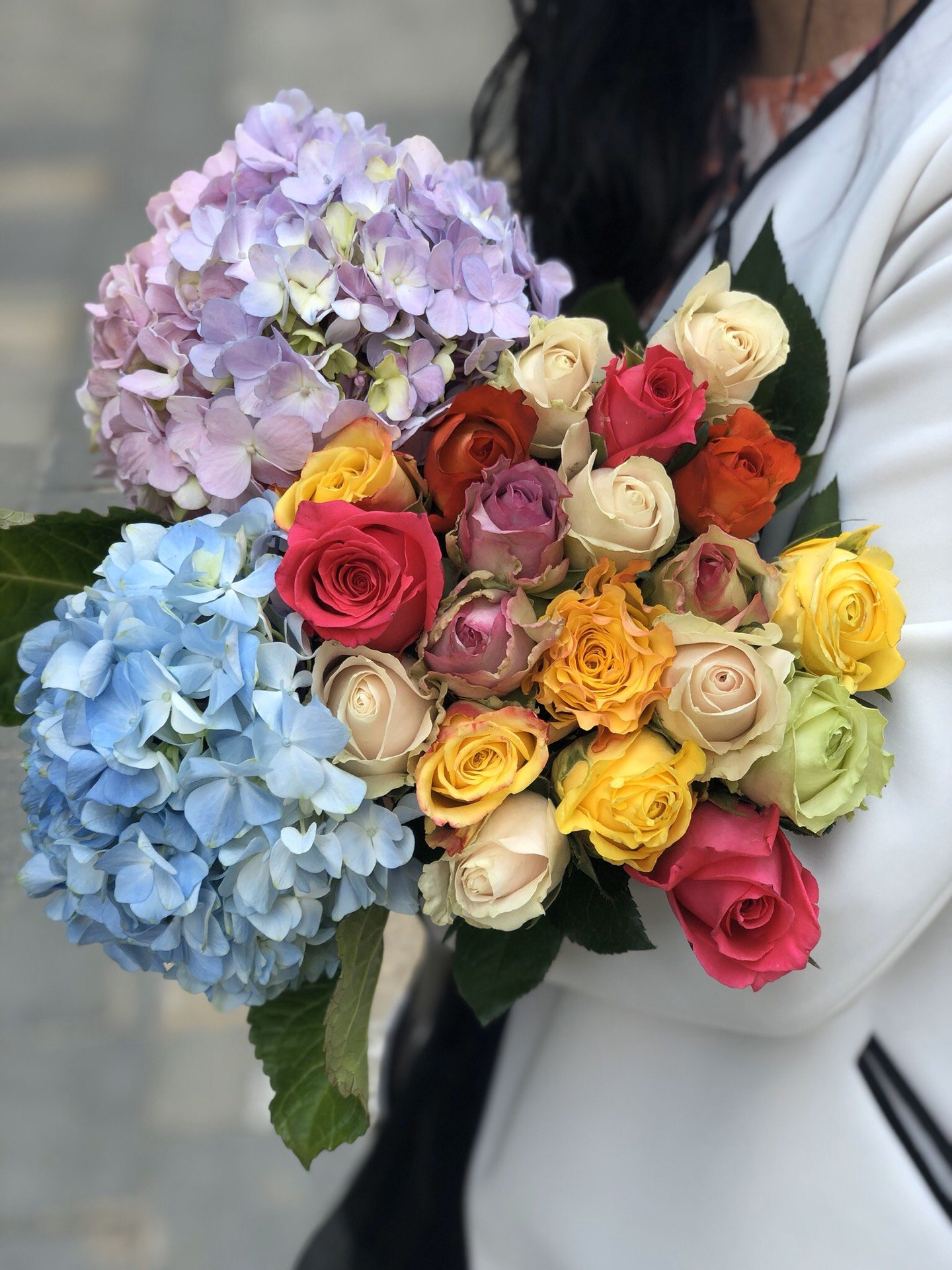 [Air transport Mixed roses+Hydrangea]Yunnan Kunming flower Base Straight hair One piece On behalf of agent