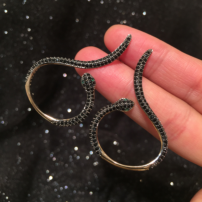Curved Snake-shaped Earrings display picture 8