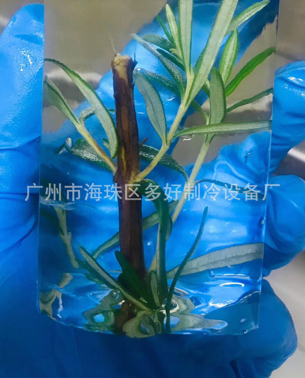 mmexport1586404410976