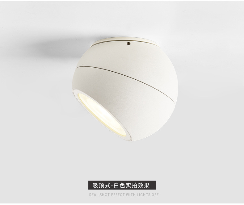 苹果球形明装轨道射灯206