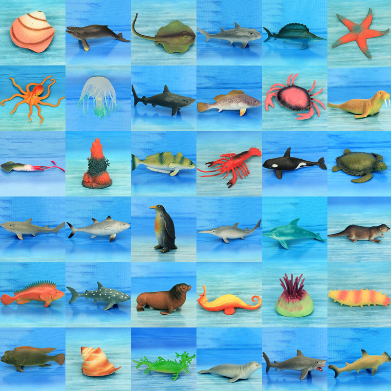 Realistic marine animal model