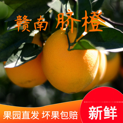 江西赣南脐橙10斤装新鲜当季水果