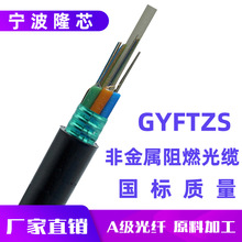 GYFTZS-48B1室外非金属阻燃光缆 48芯单模光纤光缆 厂家直销 国标